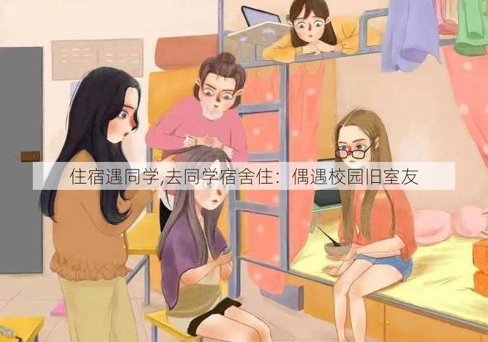 住宿遇同学,去同学宿舍住：偶遇校园旧室友