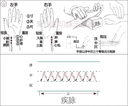 号脉钓鱼法