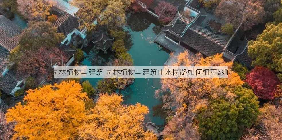 园林植物与建筑 园林植物与建筑山水园路如何相互影响