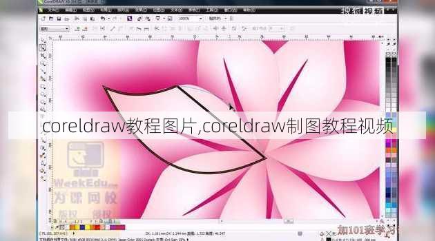 coreldraw教程图片,coreldraw制图教程视频