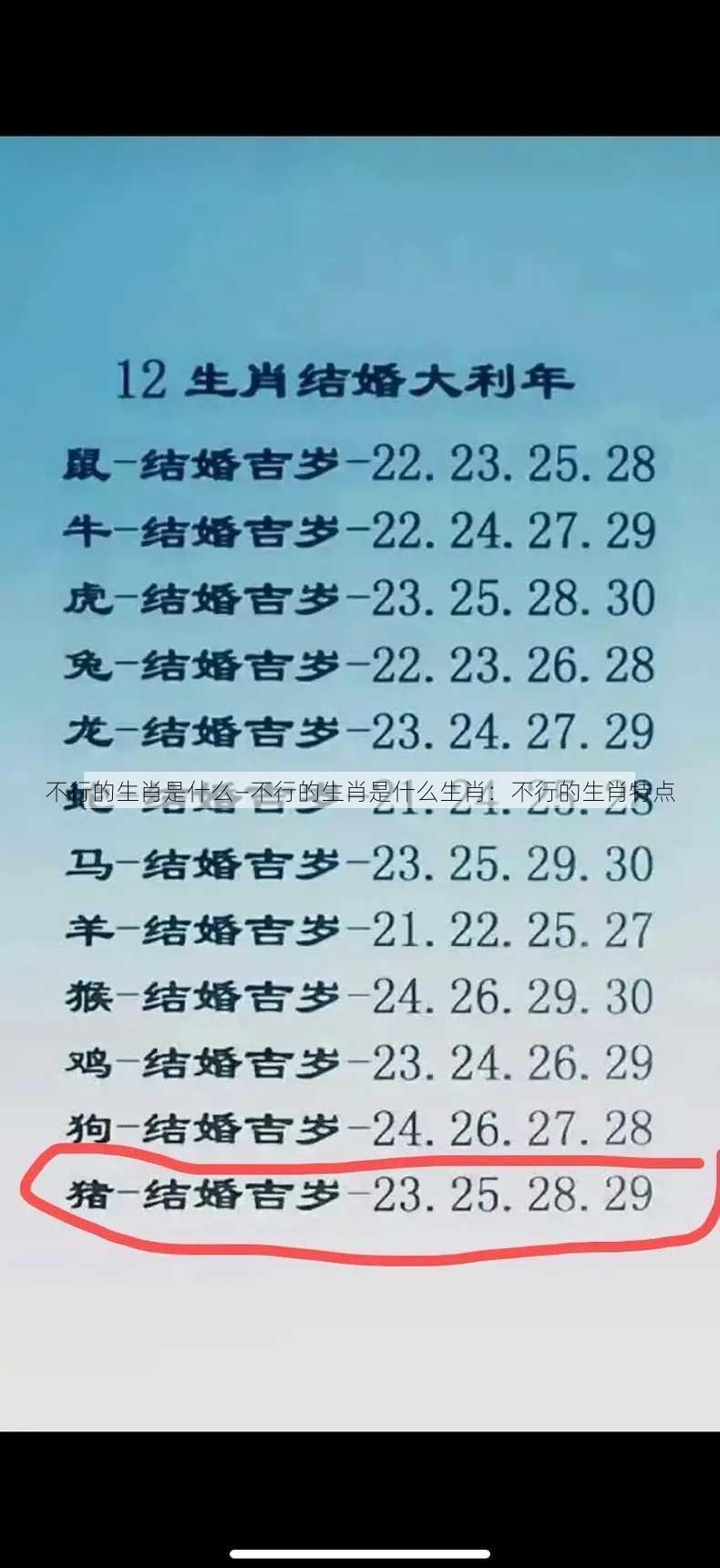 不行的生肖是什么—不行的生肖是什么生肖：不行的生肖特点