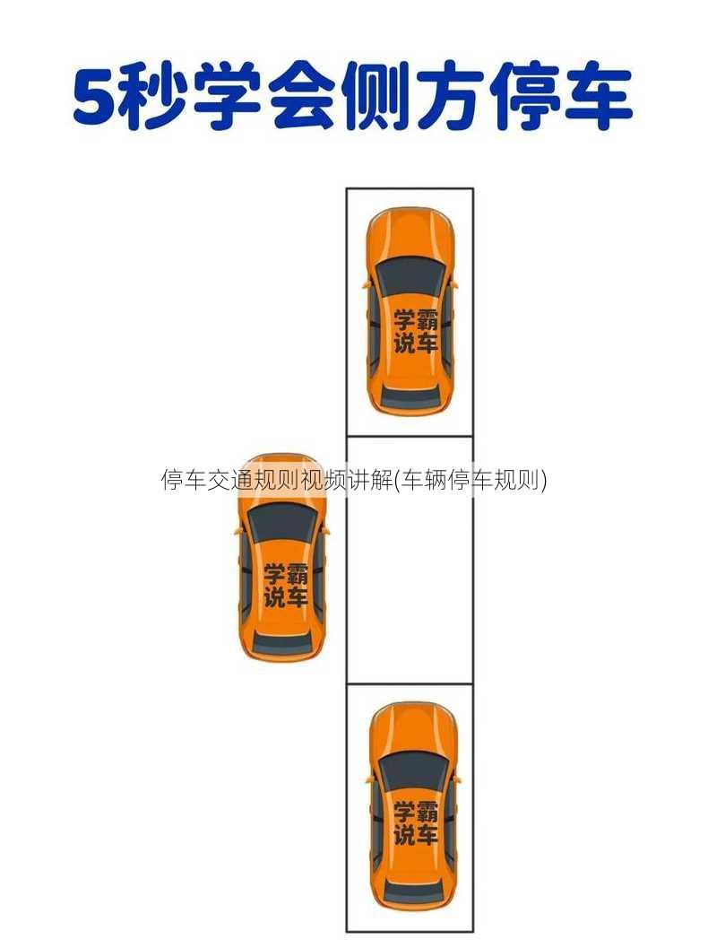 停车交通规则视频讲解(车辆停车规则)