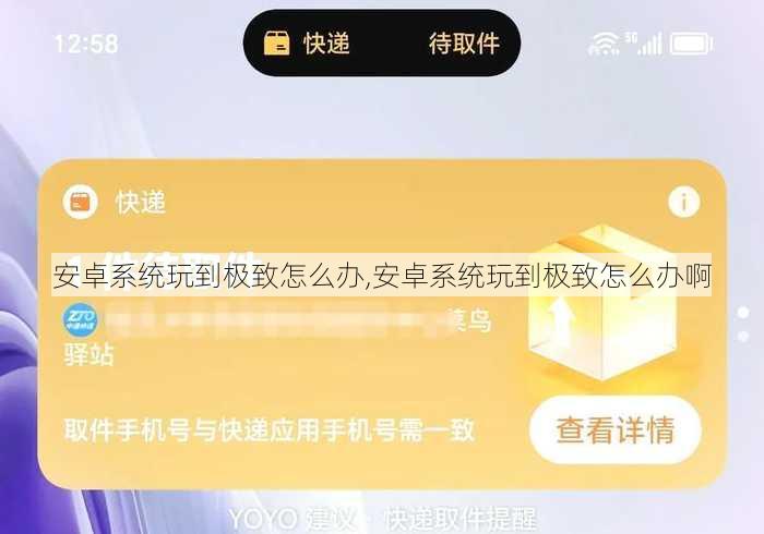 安卓系统玩到极致怎么办,安卓系统玩到极致怎么办啊