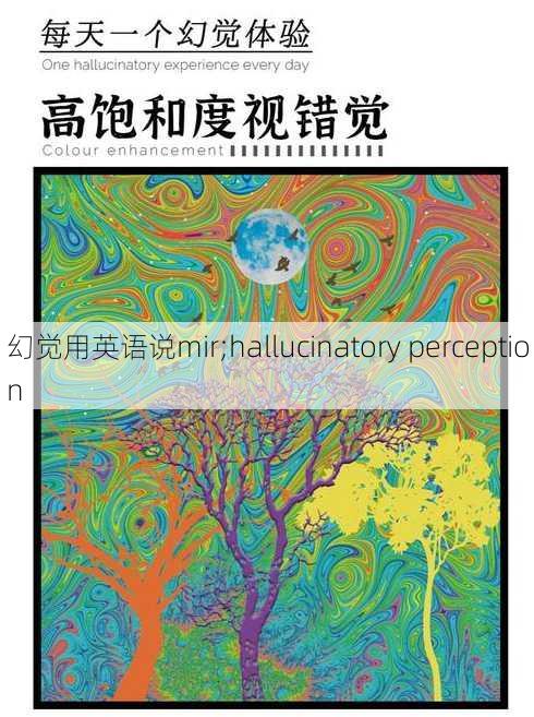 幻觉用英语说mir;hallucinatory perception