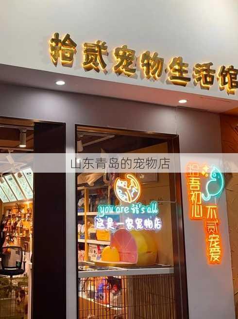 山东青岛的宠物店