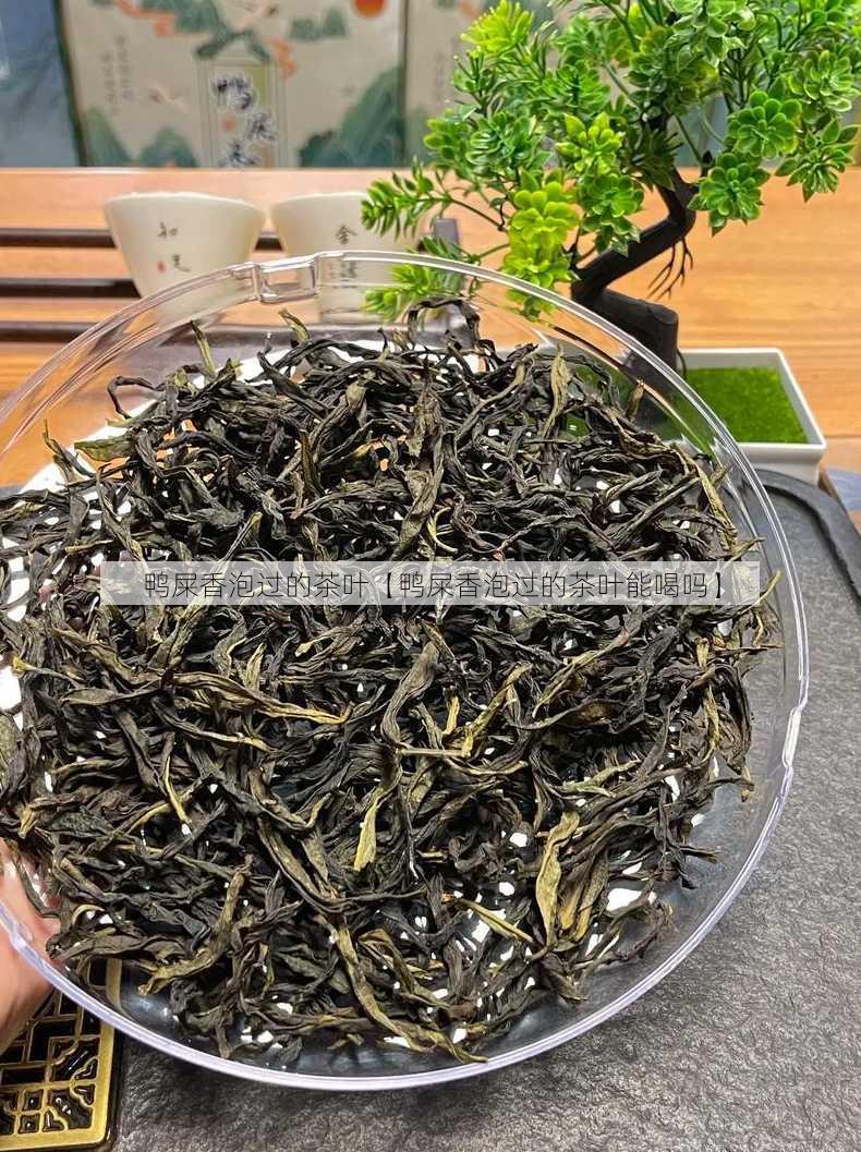 鸭屎香泡过的茶叶【鸭屎香泡过的茶叶能喝吗】