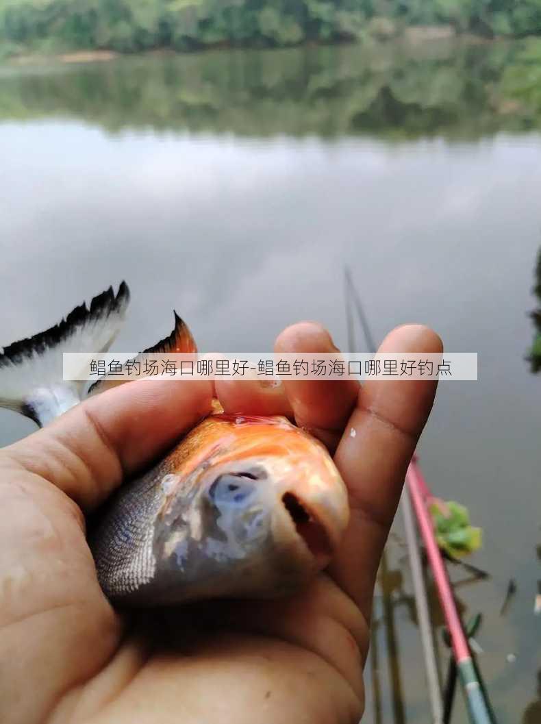 鲳鱼钓场海口哪里好-鲳鱼钓场海口哪里好钓点