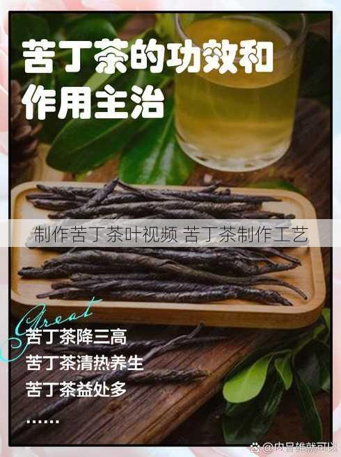 制作苦丁茶叶视频 苦丁茶制作工艺