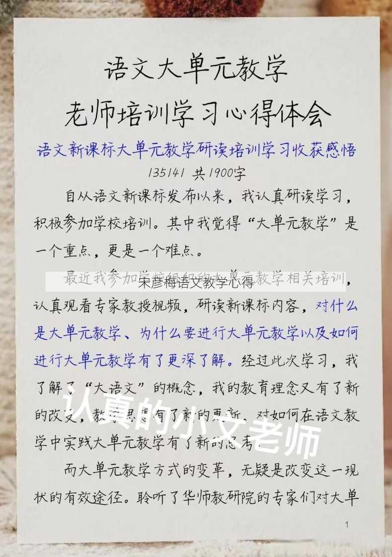 宋彦梅语文教学心得