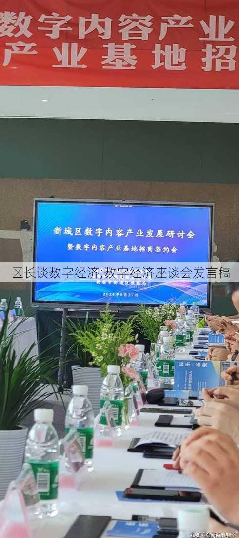 区长谈数字经济;数字经济座谈会发言稿