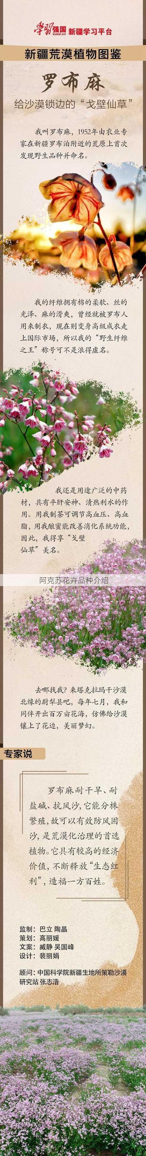 阿克苏花卉品种介绍