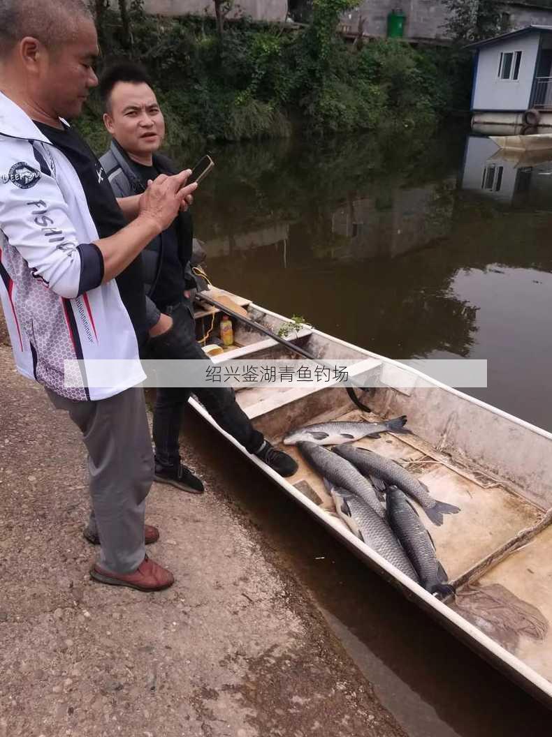 绍兴鉴湖青鱼钓场