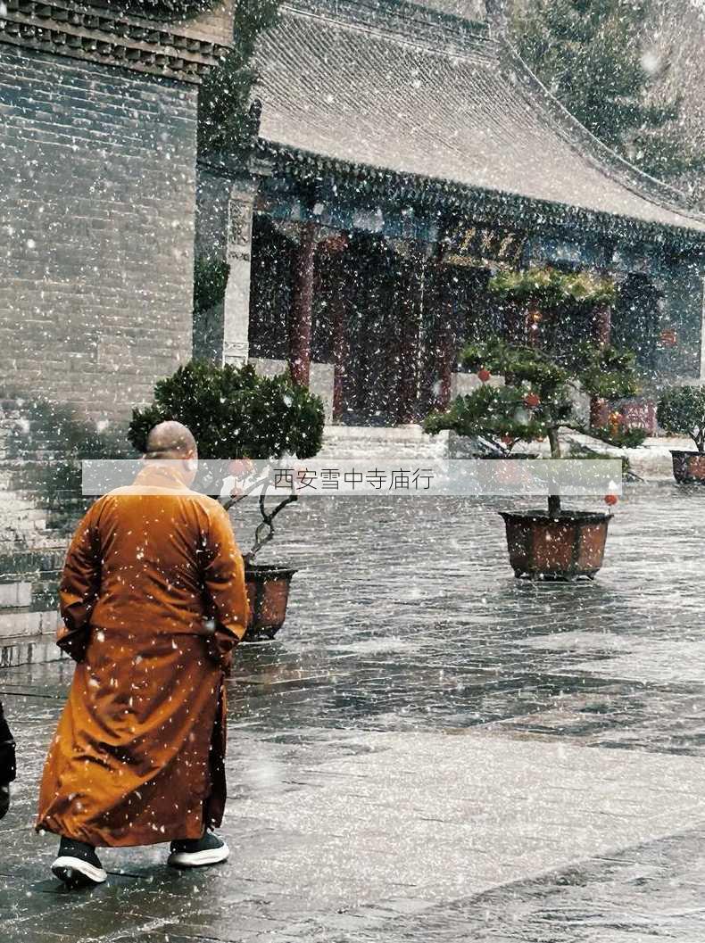 西安雪中寺庙行