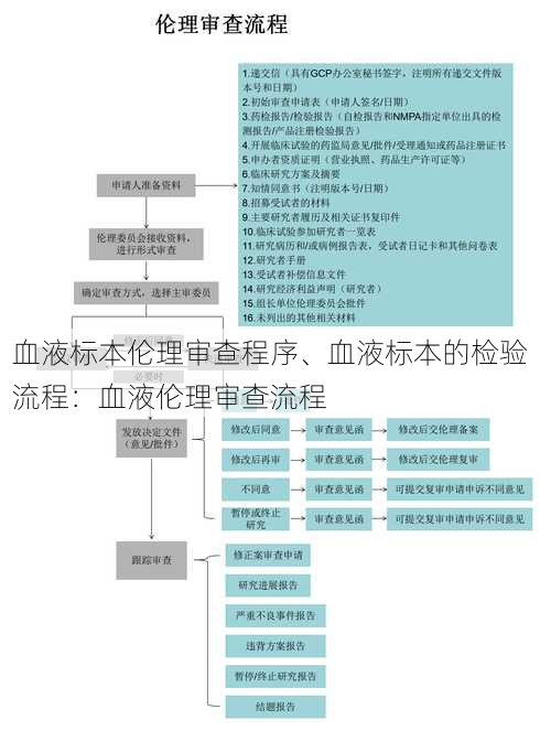 血液标本伦理审查程序、血液标本的检验流程：血液伦理审查流程