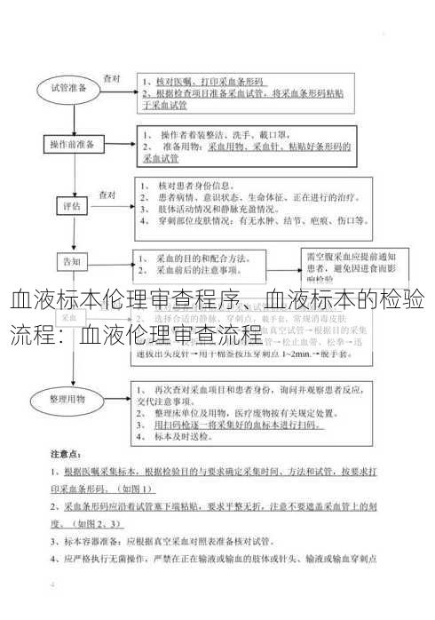 血液标本伦理审查程序、血液标本的检验流程：血液伦理审查流程