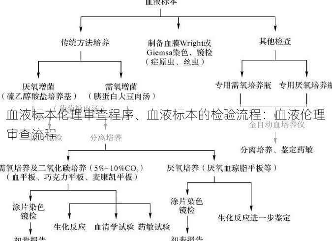 血液标本伦理审查程序、血液标本的检验流程：血液伦理审查流程