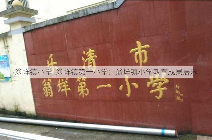 翁垟镇小学_翁垟镇第一小学：翁垟镇小学教育成果展示