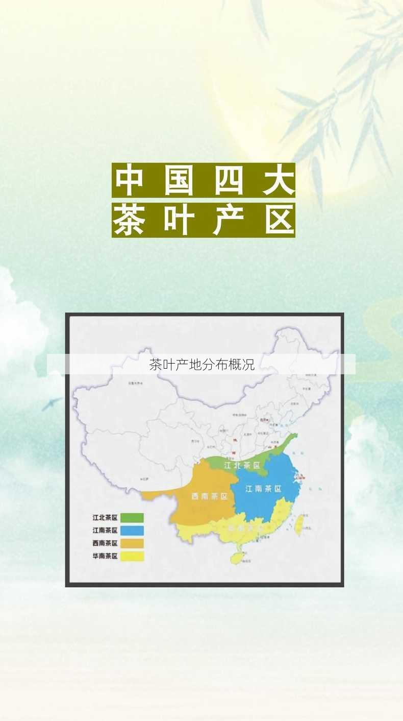 茶叶产地分布概况