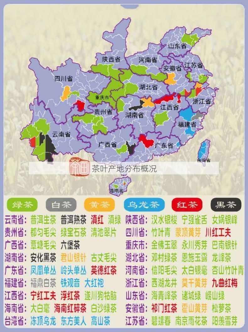 茶叶产地分布概况