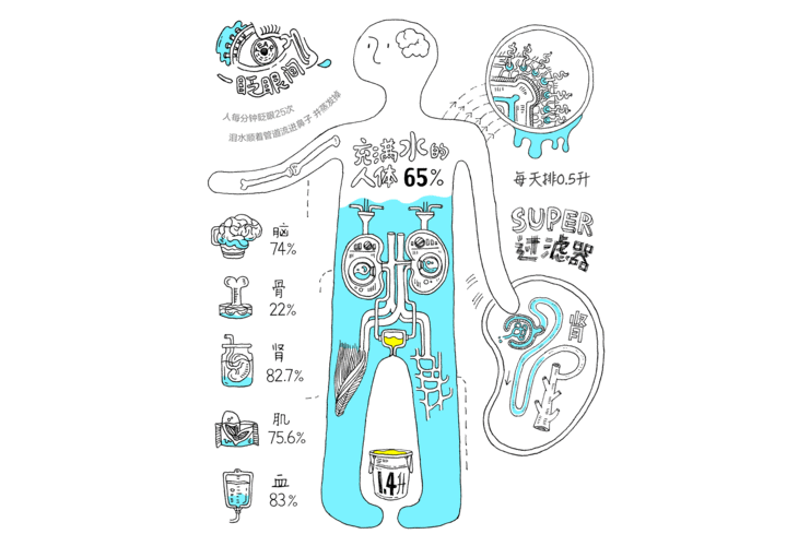 商场扫描人体的动图—人体扫描仪检查身体能扫什么