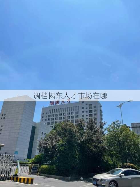 调档揭东人才市场在哪