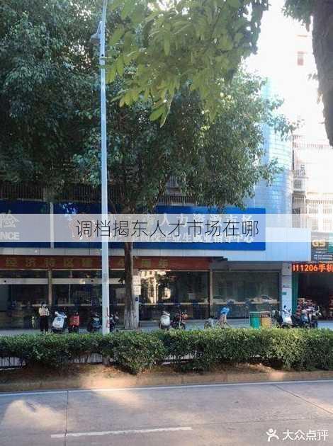 调档揭东人才市场在哪