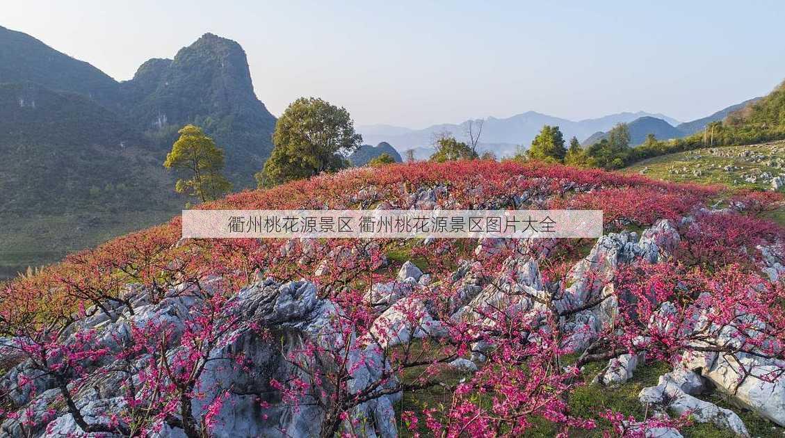 衢州桃花源景区 衢州桃花源景区图片大全