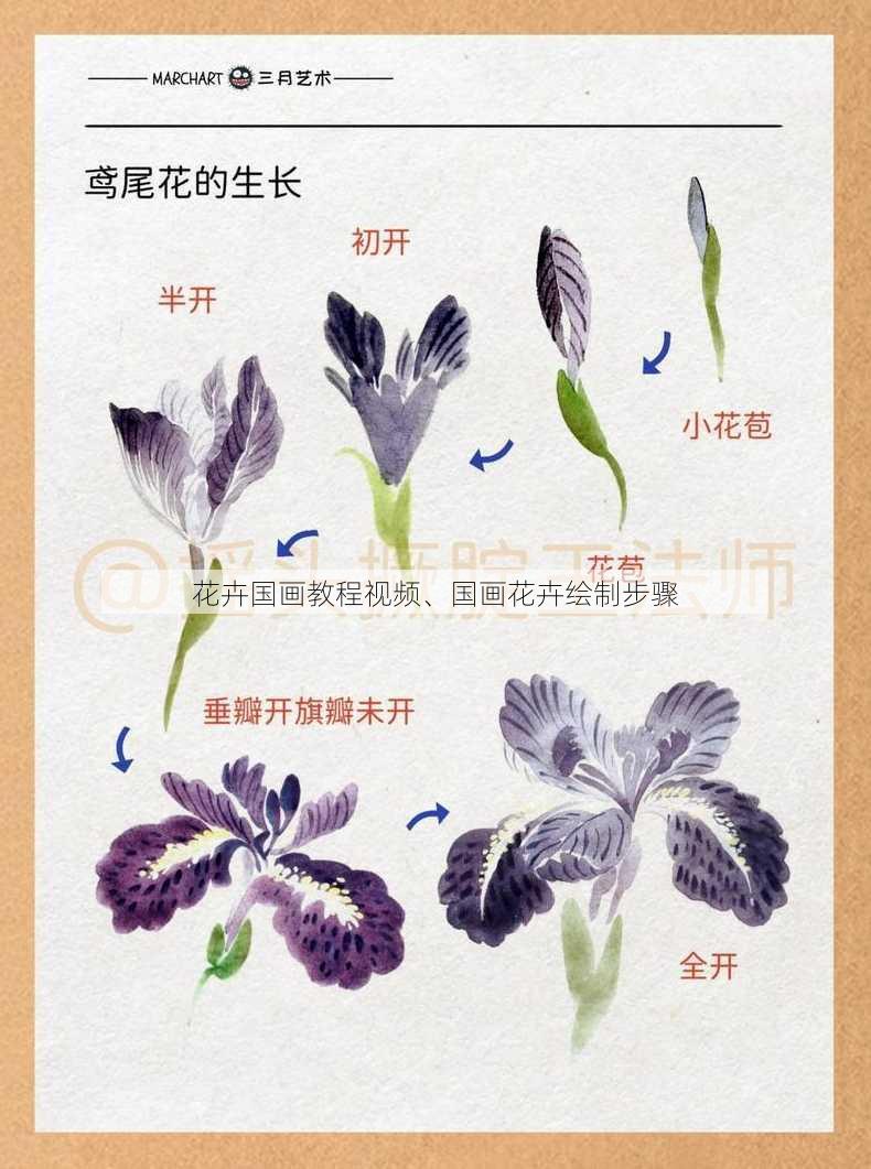 花卉国画教程视频、国画花卉绘制步骤