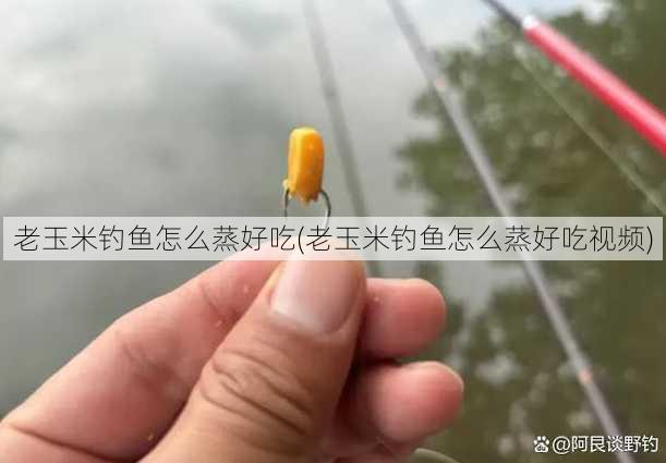 老玉米钓鱼怎么蒸好吃(老玉米钓鱼怎么蒸好吃视频)