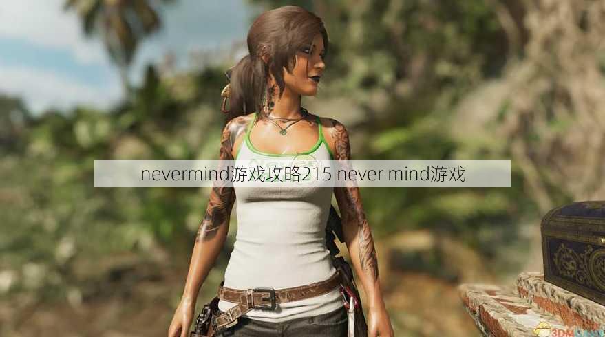 nevermind游戏攻略215 never mind游戏