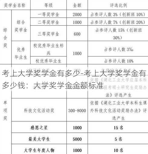 考上大学奖学金有多少-考上大学奖学金有多少钱：大学奖学金金额标准