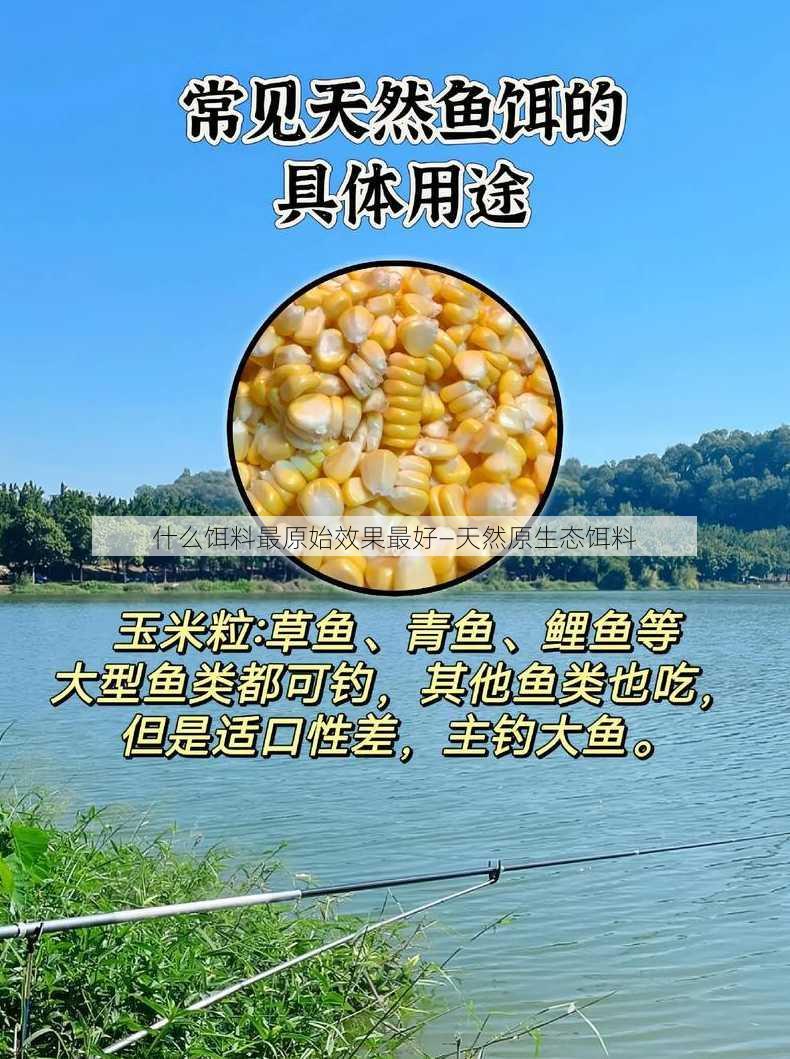 什么饵料最原始效果最好—天然原生态饵料