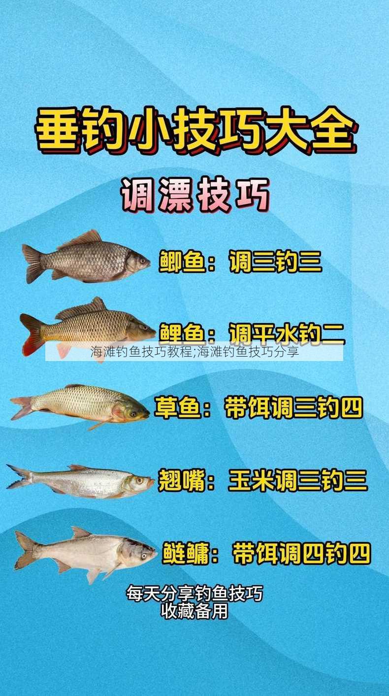 海滩钓鱼技巧教程;海滩钓鱼技巧分享