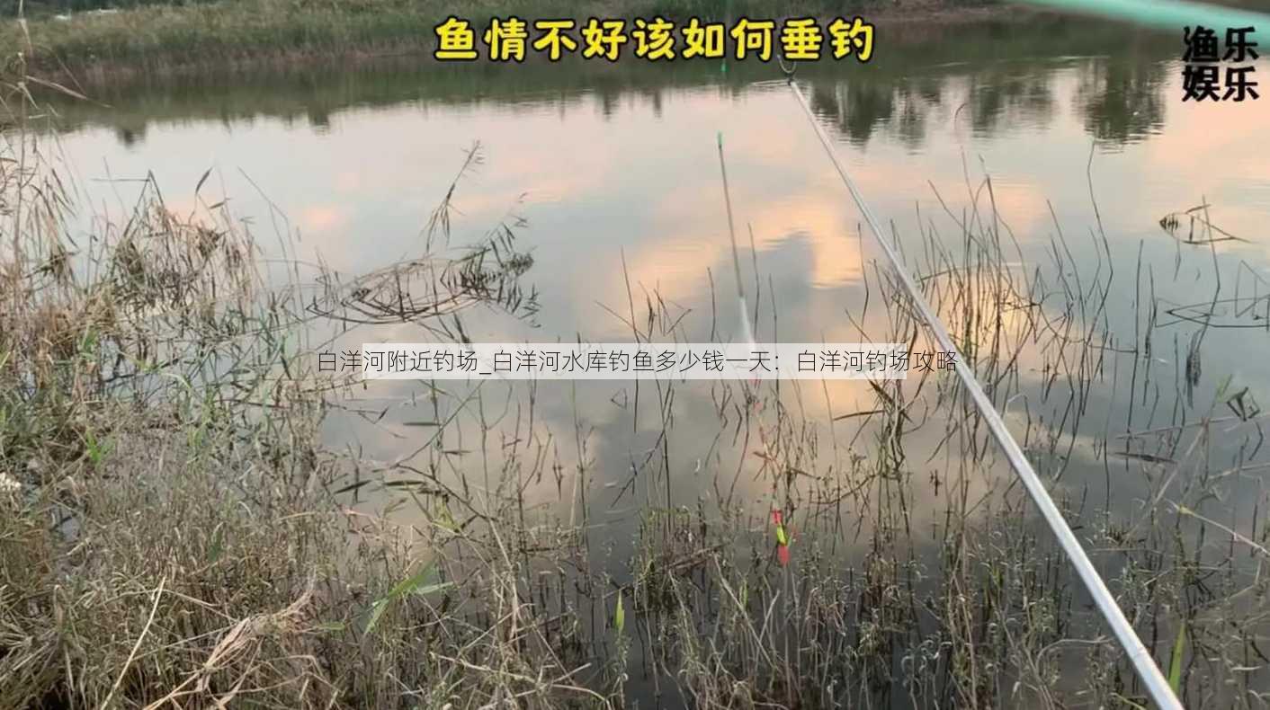 白洋河附近钓场_白洋河水库钓鱼多少钱一天：白洋河钓场攻略