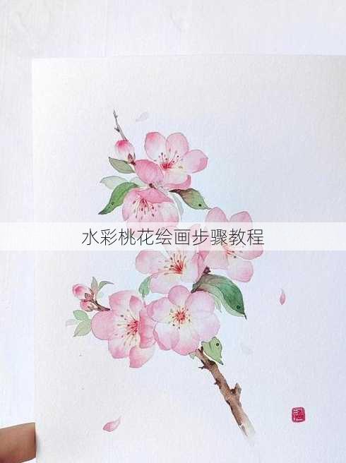 水彩桃花绘画步骤教程