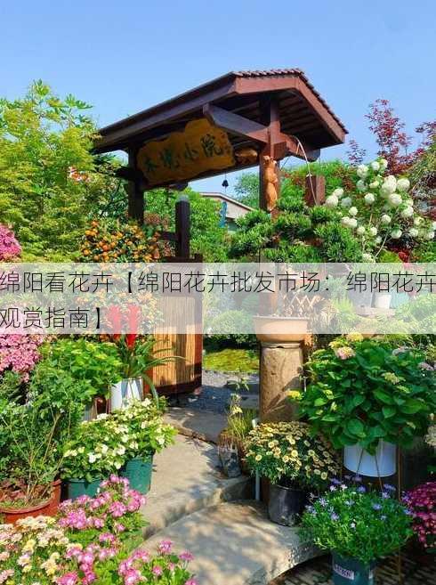 绵阳看花卉【绵阳花卉批发市场：绵阳花卉观赏指南】