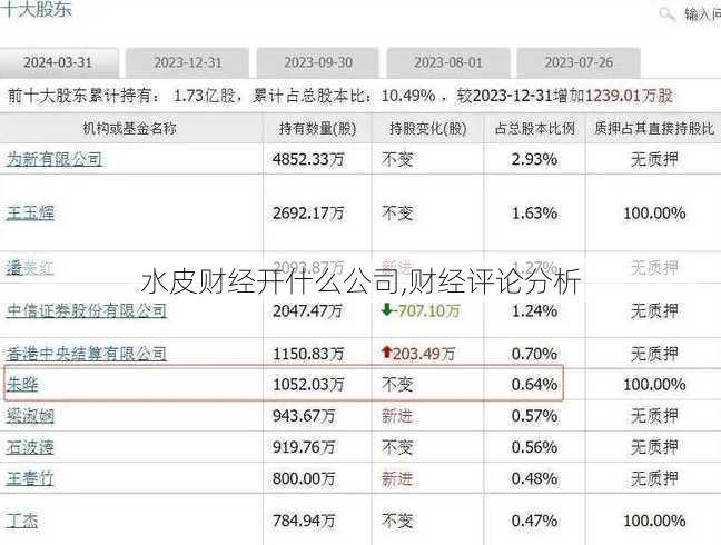 水皮财经开什么公司,财经评论分析