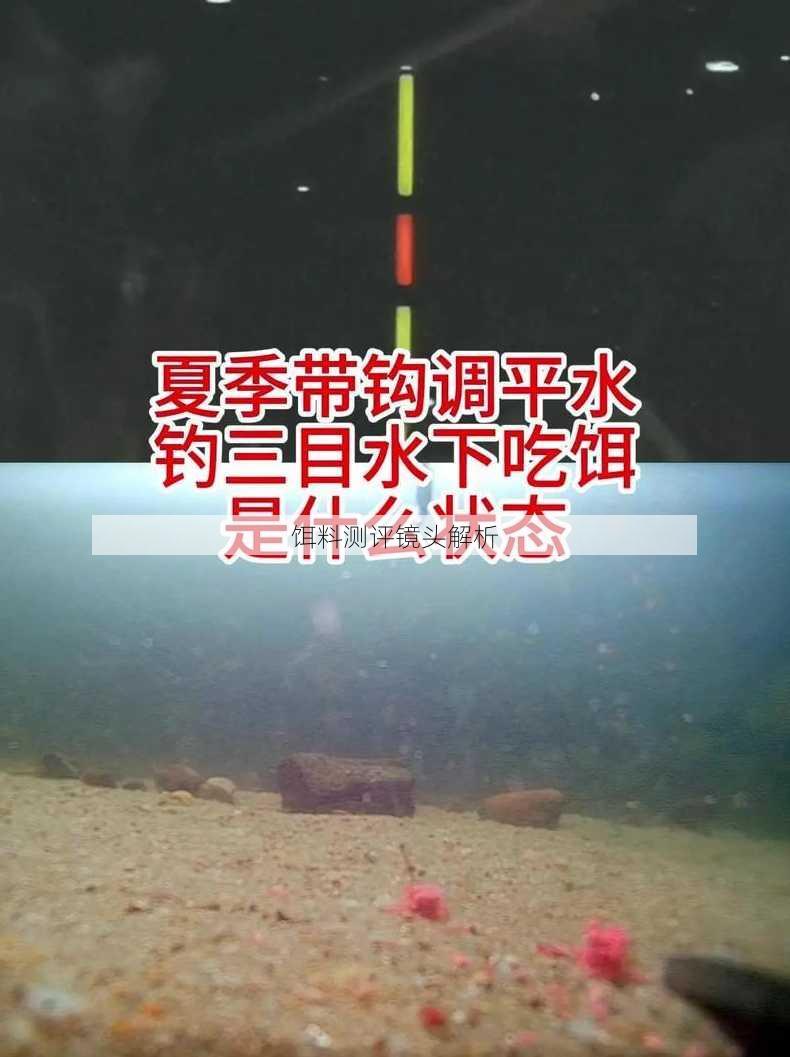 饵料测评镜头解析