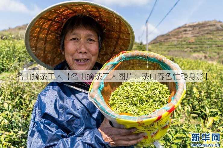 名山摘茶工人【名山摘茶工人图片：茶山春色忙碌身影】